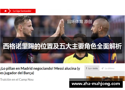 西格诺里踢的位置及五大主要角色全面解析